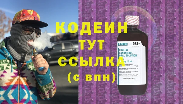 сатива Арсеньев