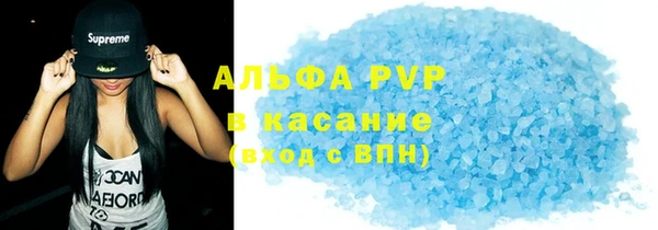 стаф Аркадак