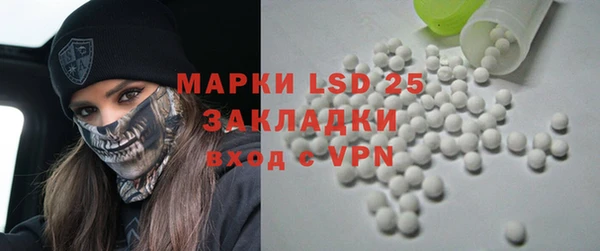 стаф Аркадак