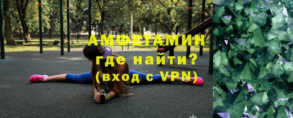 сатива Арсеньев