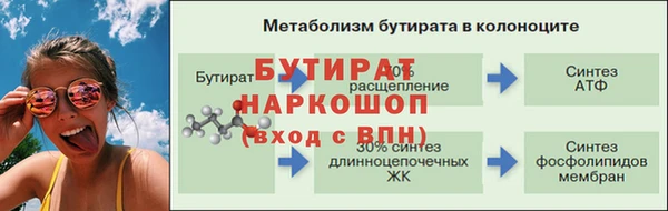 стаф Аркадак