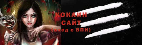 сатива Арсеньев