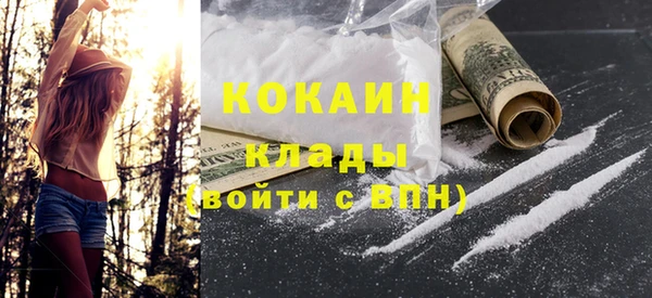 стаф Аркадак
