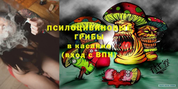 стаф Аркадак