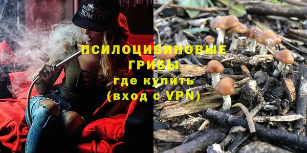 сатива Арсеньев