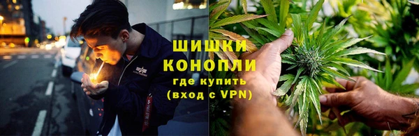 стаф Аркадак